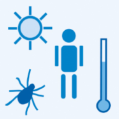 Klimawandel: Mensch, Thermometer ,Zecke, Sonne