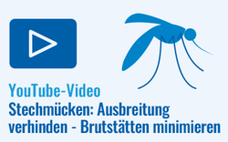 YouTube Video Stechmücken: Ausbreitung verhindern - Brutstätten minimieren