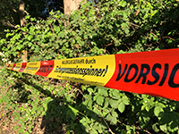 Warnung Eichen-Prozessions-Spinner