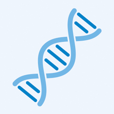 DNA-Helix